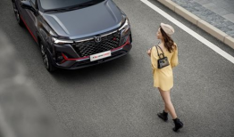 真实国产精品,匠心独运，品质卓越的国产佳作解析